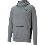 Meeste dressipluus Puma RTG Hoodie M, hall