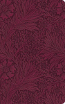 ESV Large Print Value Thinline Bible
