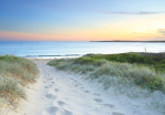 Consalnet Tapeet Beach 416x254 cm 14535VEXXL