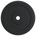 vidaXL kaaluplaat, 20 kg, malm