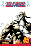 Bleach, Vol. 45: The Burnout Inferno, 45
