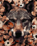 Maalimine numbrite j&auml;rgi Oh Art! Wolf in the leaves, 40x50 cm