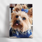 Maalid numbrite j&auml;rgi TM V&auml;rvikas "Fluffy fashionista" 20x30 cm