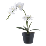 Kunstlill Orhidee, 49 cm, roheline