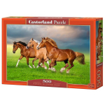 Pusle Castorland Horses in Spring Rush, 500-osaline