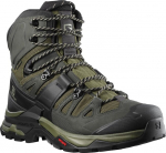 Meeste matkajalatsid Salomon Quest 4 GTX, must/roheline