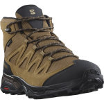 Meeste matkajalatsid SALOMON X WARD LEATHER MID GTX, pruunid/mustad