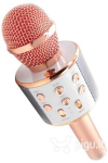 Mikrofon Royal Song WS-858