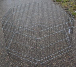 Happy Pet koeraaedik, 63x63 cm., 6 tk.