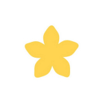 Dekoratiivne augustaja, Lill, 37 mm