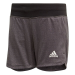 T&uuml;drukute spordip&uuml;ksid Adidas YG TR Chill SH Jr DV2799