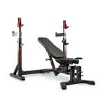 T&otilde;stepink BH FITNESS Olympic Rack