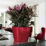 Lillepott Lechuza Quadro LS 50, erinevad v&auml;rvid