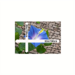 Lillemustriline Vaip Ruumivaip, 39 * 63 coliai / 100 * 160 cm