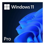 Operatsioonis&uuml;steem Microsoft Windows 11 Pro FQC-10572 ESD