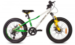 Laste jalgratas 20", roheline