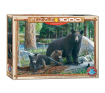 Pusle Eurographics, 6000-0793, New Discoveries, 1000 tk
