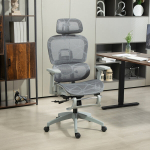Kontoritool ergonoomiline kirjutuslaua tool 66x64x114 cm hall v&otilde;rgukangas