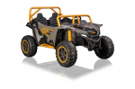 Laetav auto Kikka Boo litsentseeritud Arctic Cat hall 24V nahkistmega