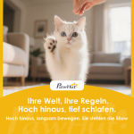 Kassipuu ja kassiredel, lai alus, pl&uuml;&uuml;sriie, sisalipost, hall, Pilka