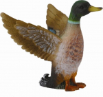Isane sinikaelpart - Collecta