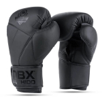 Poksikindad Dbx Bushido Hammer 10 oz treeninguks