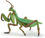 K&auml;rnkohvikute figuur
