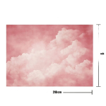 Abstraktne Portree Taust Fotograafiale Pickify, 210*150cm/82.6*59inch