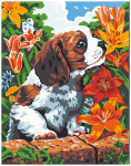 Maalimiskomplekt numbrite j&auml;rgi Betti 30x40