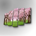 Viieosaline reproduktsioon &Otilde;itsev sakura