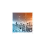 Reproduktsioon Ratas