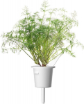 Click & Grow Smart Garden refill Till 3tk