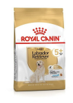 Royal Canin Labrador Ageing 5+, 12kg