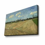 Reproduktsioon Ploughed fields