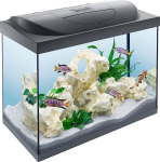 Tetra starterliin 80 L Akvaariumi komplekt koos LED-valgustuse stabiilse algtaseme basseiniga tehnoloogia, s&ouml;&ouml;da ja hooldustoodetega, v&auml;rv: must