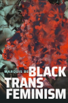 Must transfeminism