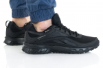Meeste ketsid Reebok Ridgerider 6 GTX FW9642