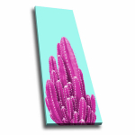 Reproduktsioon l&otilde;uendil Kaktus