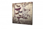Reproduktsioon Curiosities Cabinet