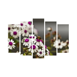 Viieosaline reproduktsioon Lilled