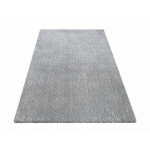 Libisemiskindel vaip Shaggy hall, 160x220cm