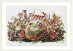 Tikkimis komplekt Merejka SK190, 26x43