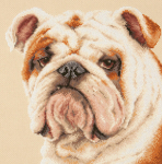 Tikkimiskomplekt Magic Needle "Bulldog" 59-21