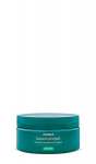 Intensiivselt taastav juuksemask Aveda Botanical Repair 200 ml