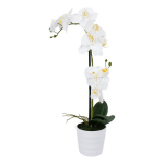 Kunstlill Orhidee, 51 cm