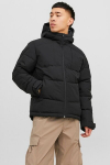 Talvejoped Jack & Jones, XXL