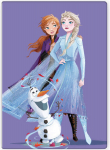 Disney Frozen Purple Polar Pleed, 100x140 cm