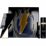 Komplekt Carolina Herrera Bad Boy meestele: deodorant, 100 ml + EDT, 100 ml + EDT, 10 ml