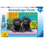 pusle ravensburger 300 tk kutsikad