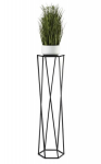 Taimealus, must, 100 cm